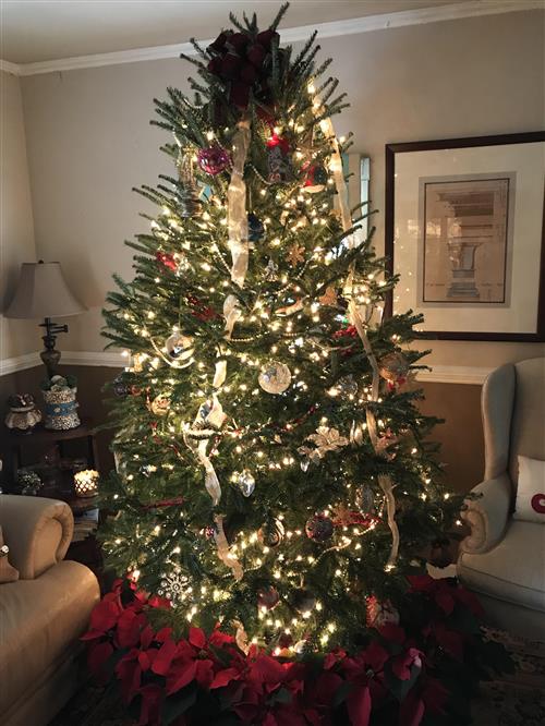 The Joy of Christmas 